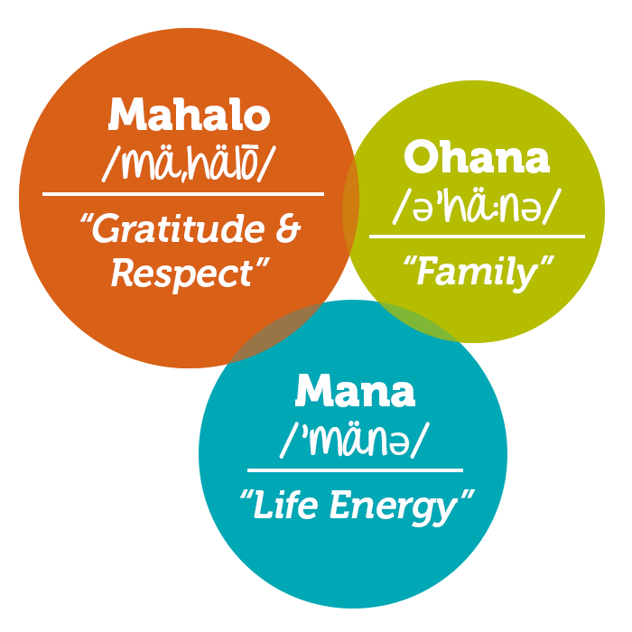Apricity Sober Living Mahalo Ohana Mana Homes Apricity Sober Living Mahalo Ohana Mana Homes
