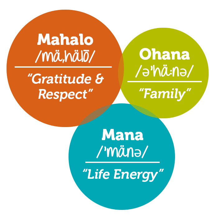 Apricity Sober Living Mahalo Ohana Mana Homes