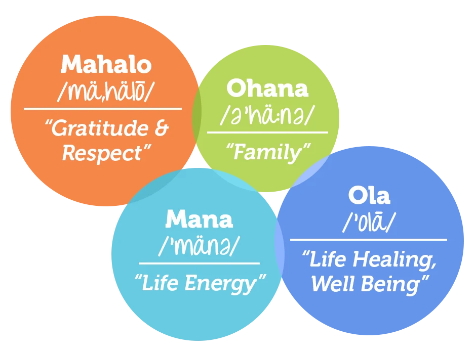 Apricity Sober Living Mahalo Ohana Mana Circles Color Update